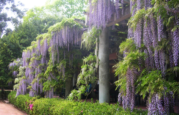 Jardins de Serralves This Weekend 24 A Cidade na ponta dos dedos de Sancha Trindade 3