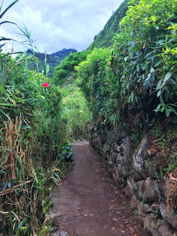 casa-da-faja-acores-sao-miguel-nordeste-4