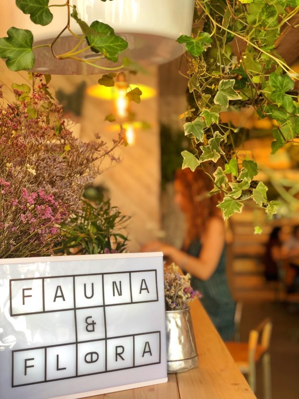 fauna-e-flora-a-cidade-na-ponta-dos-dedos-de-sancha-trindade29