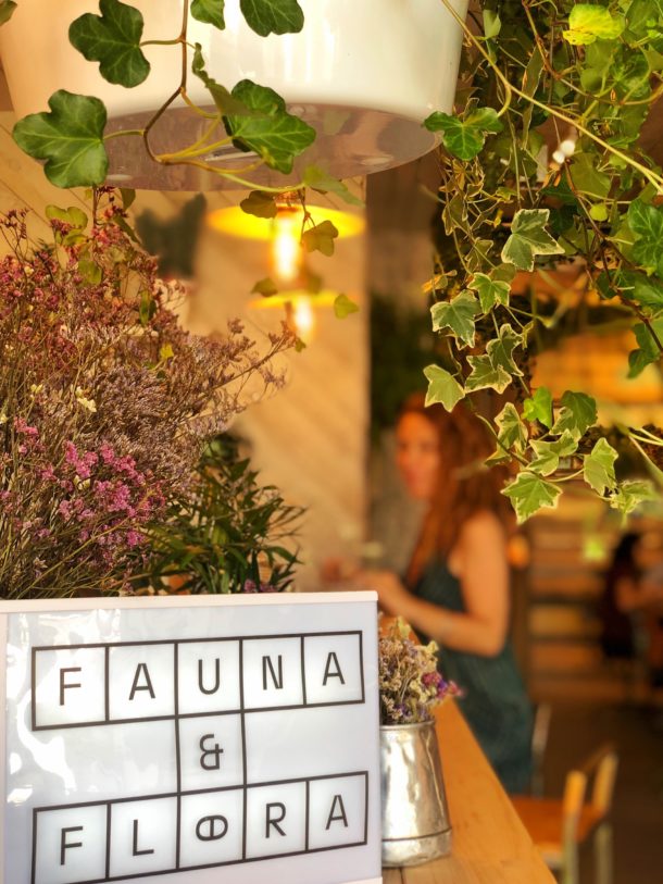 fauna-e-flora-a-cidade-na-ponta-dos-dedos-de-sancha-trindade30